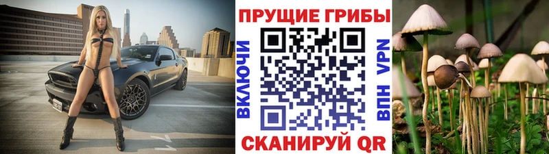 Галлюциногенные грибы ЛСД  Анжеро-Судженск 